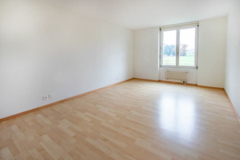 Zimmer 4.5 Zi Wohnung Seuzach