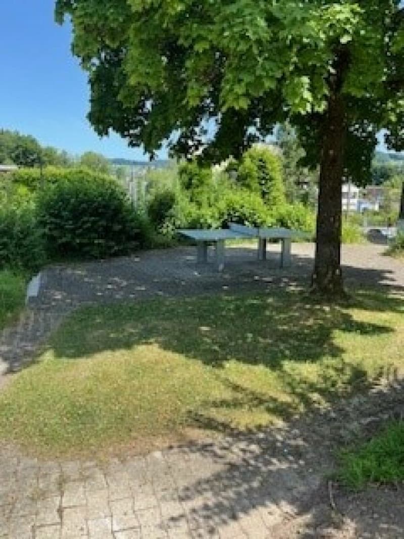 Auwiesenstrasse 47 C (14)