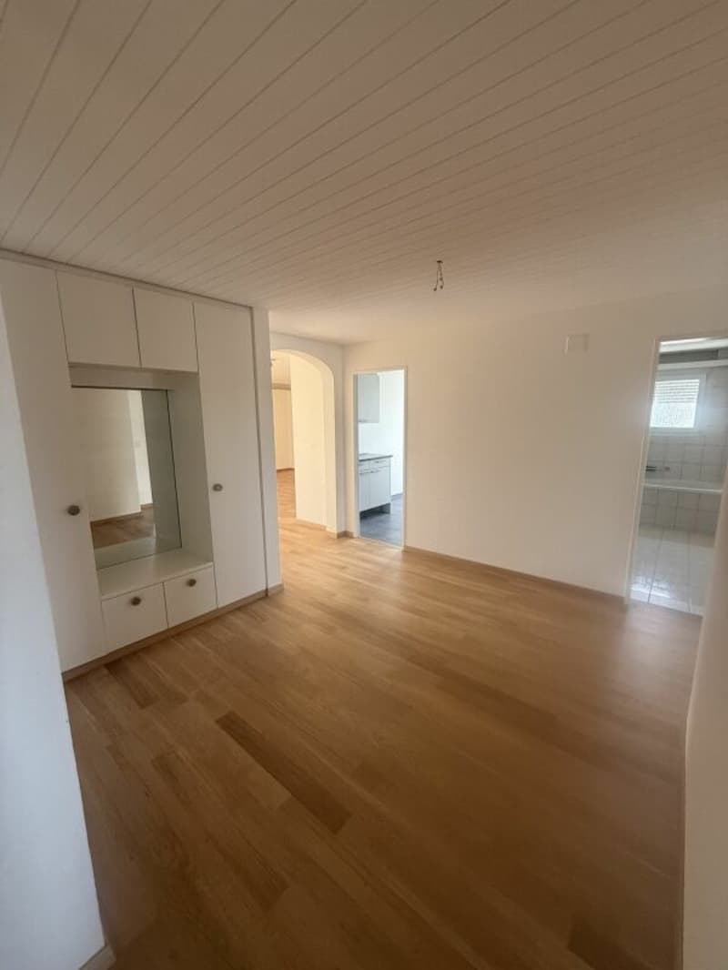 Lichtdurchflutete Attikawohnung mit zwei Balkonen (7)