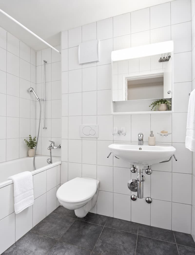 4 Zimmer-Wohnung, 4410 Liestal (6)