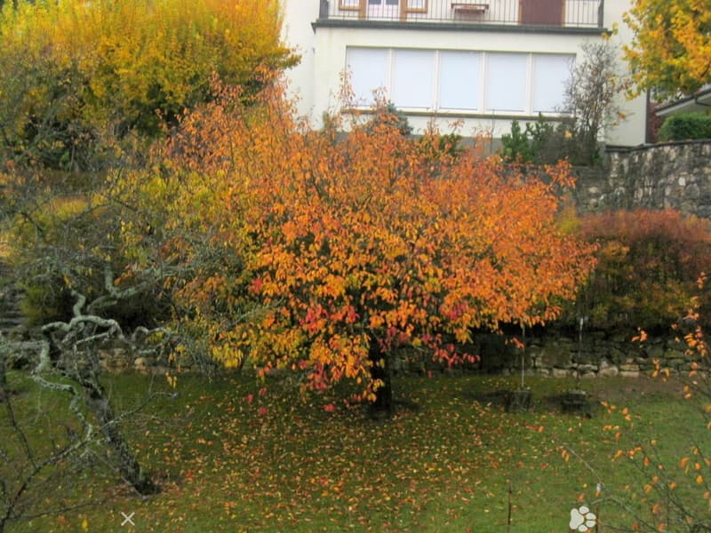 Hier fühlen Sie sich wohl (2)