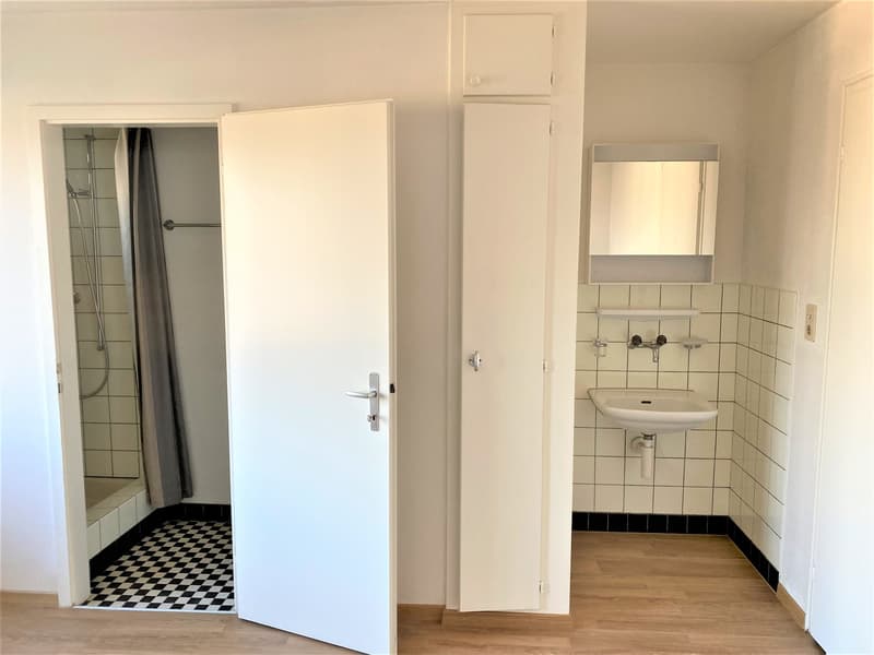 Kompakte und preiswerte Wohnung im Herzen von Amriswil (3)