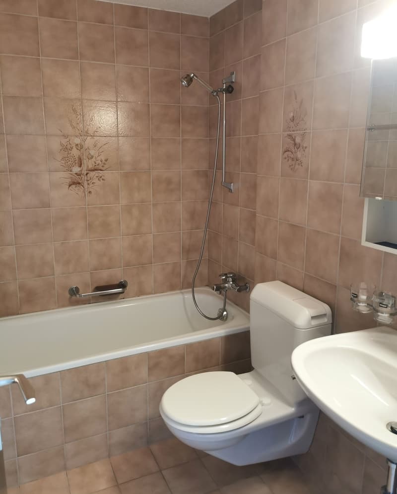 Wohnen in Flawil klingt nach deinem neuen Zuhause? (10)