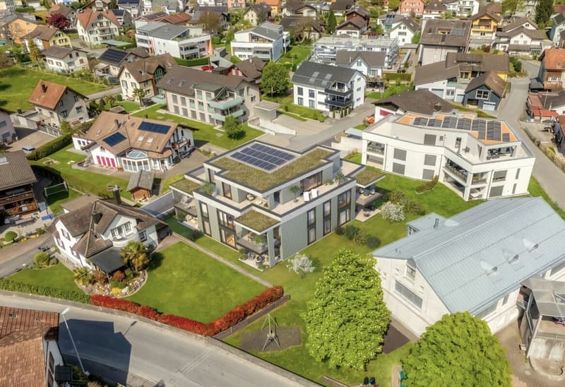 Project Announcement: Heimetli Flums (2)