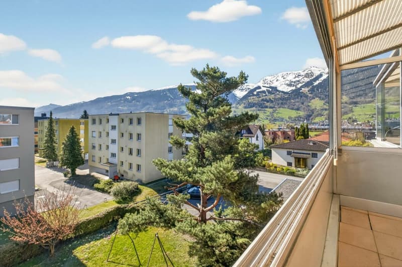 Grosses Potenzial, helle Räume und zwei Terrassen (9)