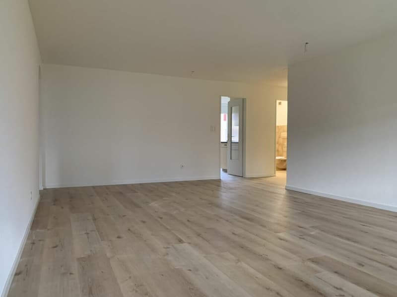 Frisch renovierte 4 1/2 Zimmer Wohnung in Romanshorn (4)
