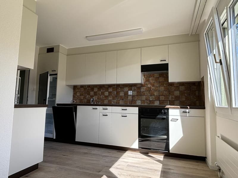 Grosszügige, frisch renovierte Wohnung an sehr ruhiger Lage (4)
