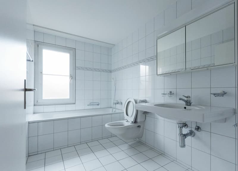 3 1/2 Zimmer Wohnung in Niederuzwil (9)
