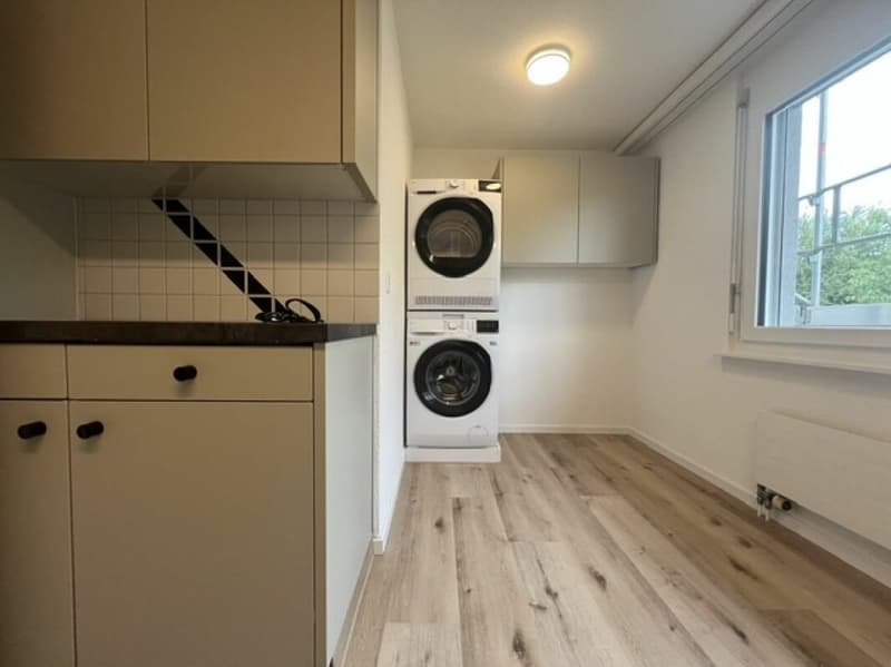 Frisch renovierte 4 1/2 Zimmer Wohnung in Roggwil (4)