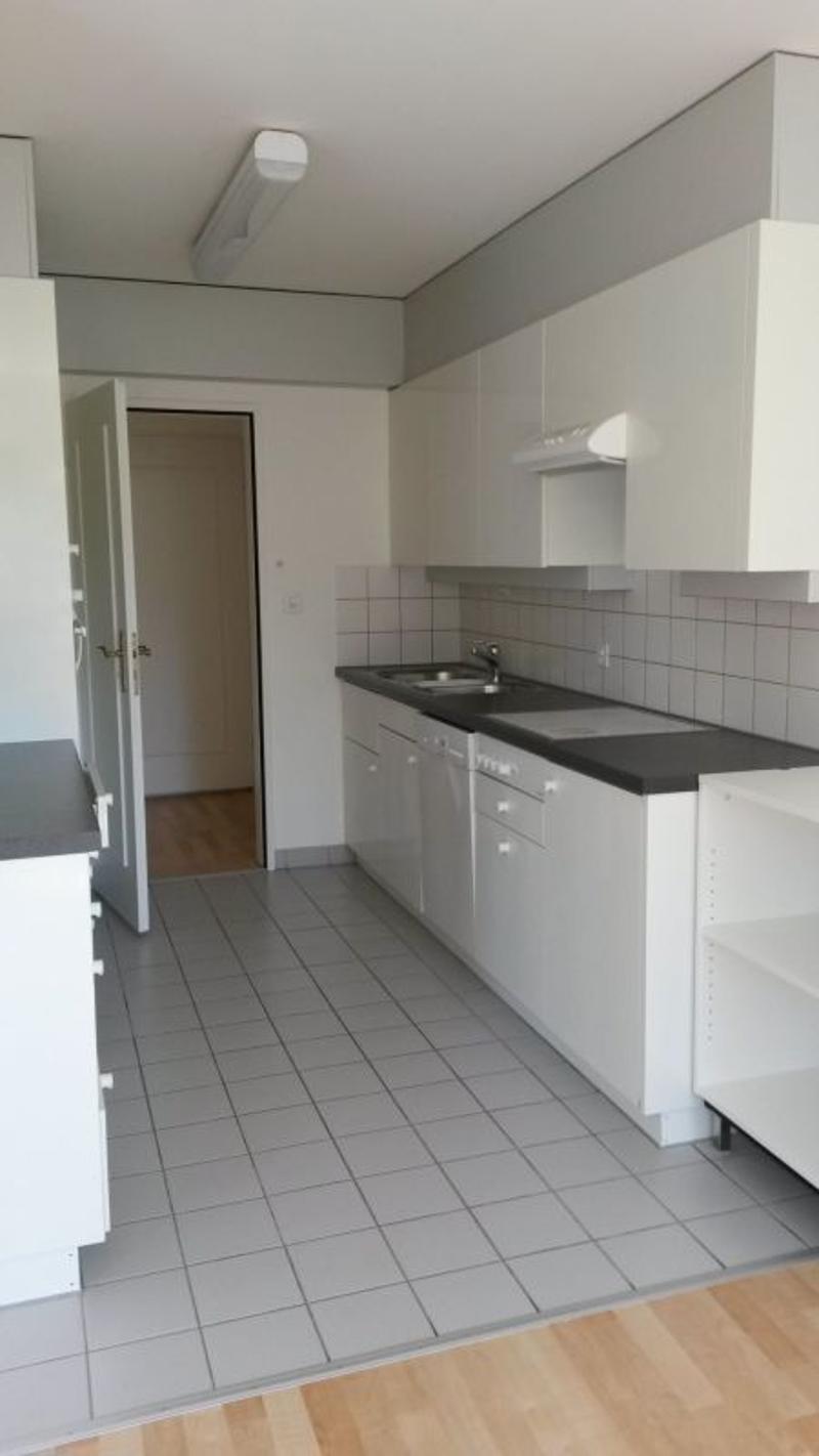 4 1/2 Zimmer-Wohnung 1.OG in St. Gallen (3)