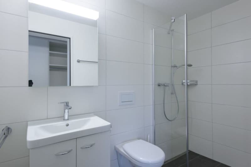 Sehr ruhige moderne Wohnung mit herrlicher Weitsicht in Sitterdorf bei Bischofszell (8)