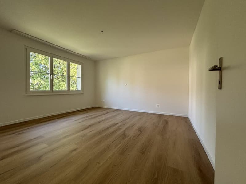 Frisch renovierte familienfreundliche 4 ½ Zimmer Wohnung (8)