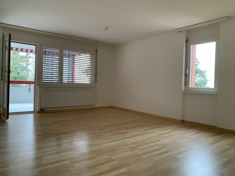 Helle und grosszügige 4 1/2 Zimmer Wohnung mit Seesicht (5)