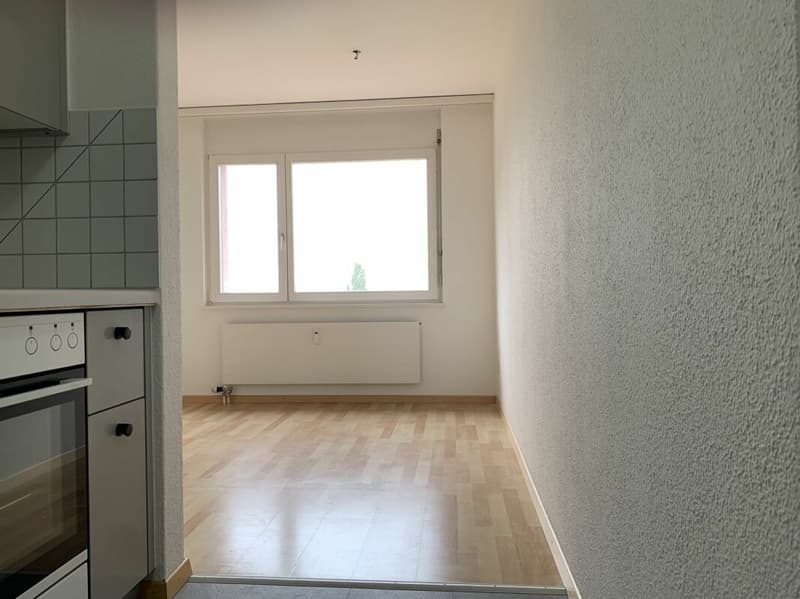 Helle und grosszügige 4 1/2 Zimmer Wohnung mit Seesicht (4)