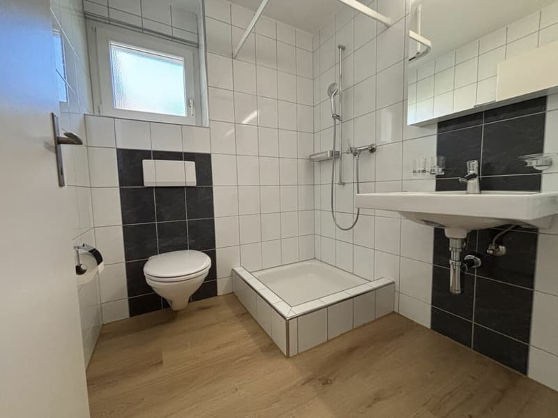Frisch renovierte familienfreundliche 4 ½ Zimmer Wohnung (8)