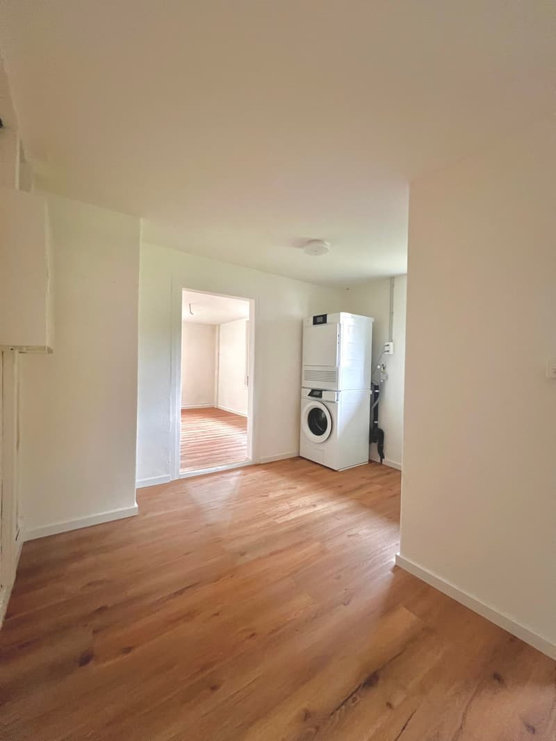 Charmantes 4.5-Zimmer-Einfamilienhaus in Aeugst mit grossen Garten sucht neue Familie (7)