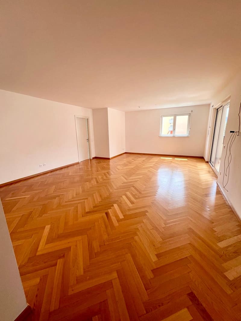 Residenza Vecchio Torchio - Viganello, Lugano (7)