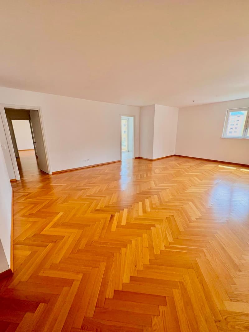 Residenza Vecchio Torchio - Viganello, Lugano (5)