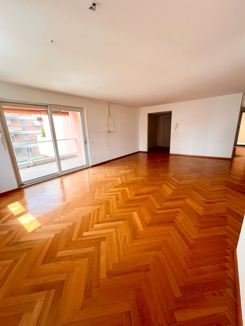 Residenza Vecchio Torchio - Viganello, Lugano (6)