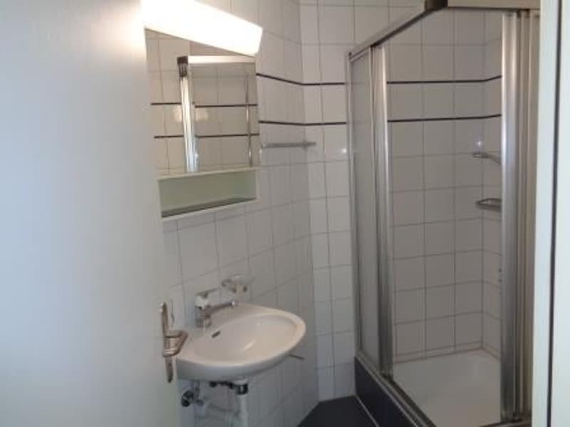Zentral und ruhig gelegene 4.5-Zimmer-Wohnung in Baar-Inwil (3)