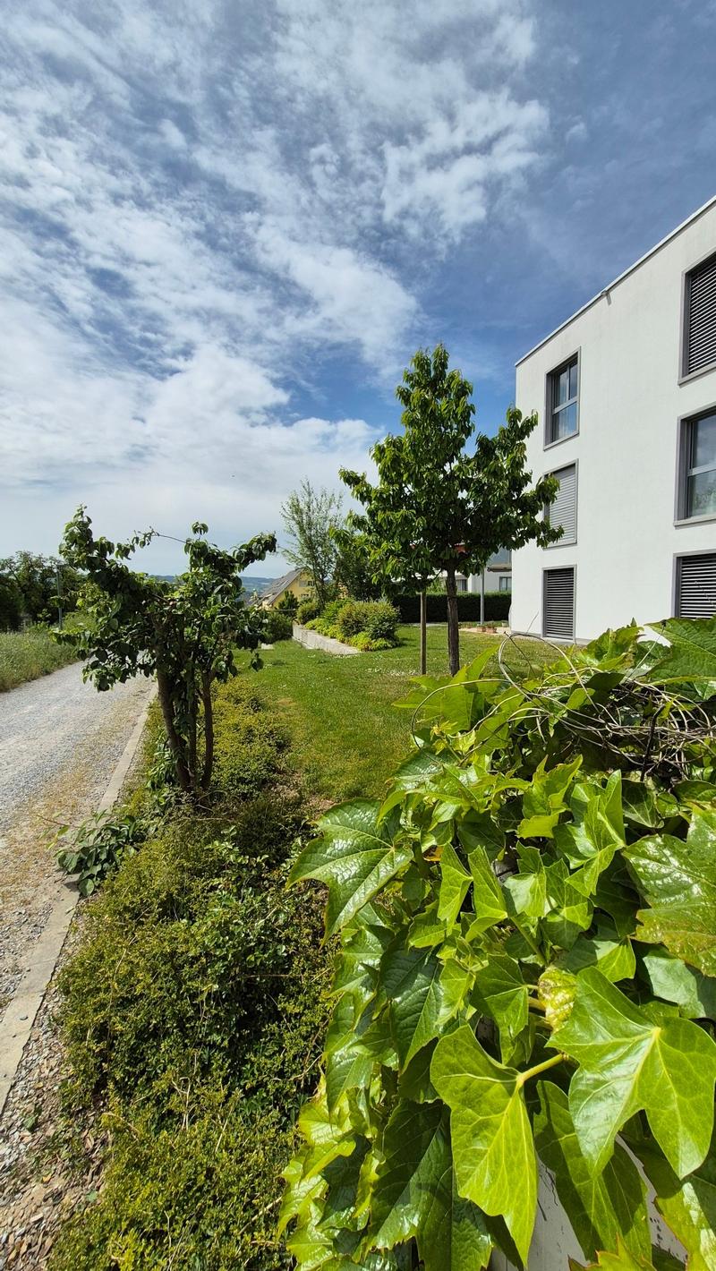 Helle und moderne 2.5-Zimmerwohnung mit Gartensitzplatz (1)