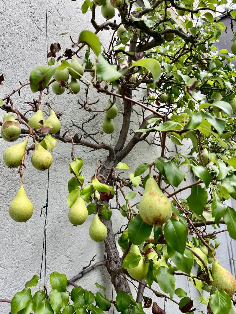 8.5-Zimmer-Maisonettewohnung mit Altbaucharme, grosser Terrasse und Garten in Hausen am Albis (21)