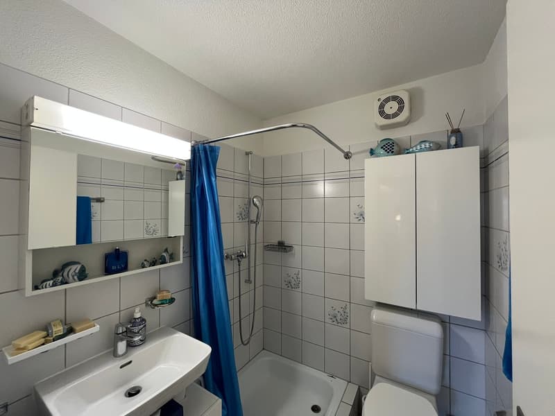 Helle 4½-Zimmerwohnung mit Balkon in familienfreundlicher Lage (13)