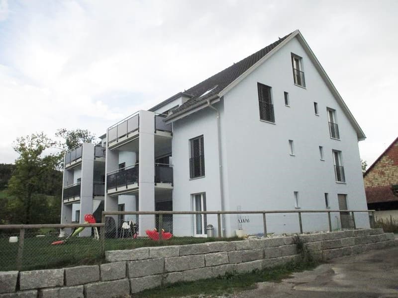 Tolle 3.5-Zimmer-Maisonettewohnung im idyllischen Neftenbach (1)