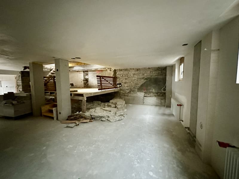 Unico. Creativo. Visionario. Il tuo loft nel cuore di Zurigo (10)