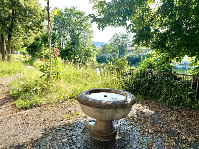 Naherholungsgebiet Sihl