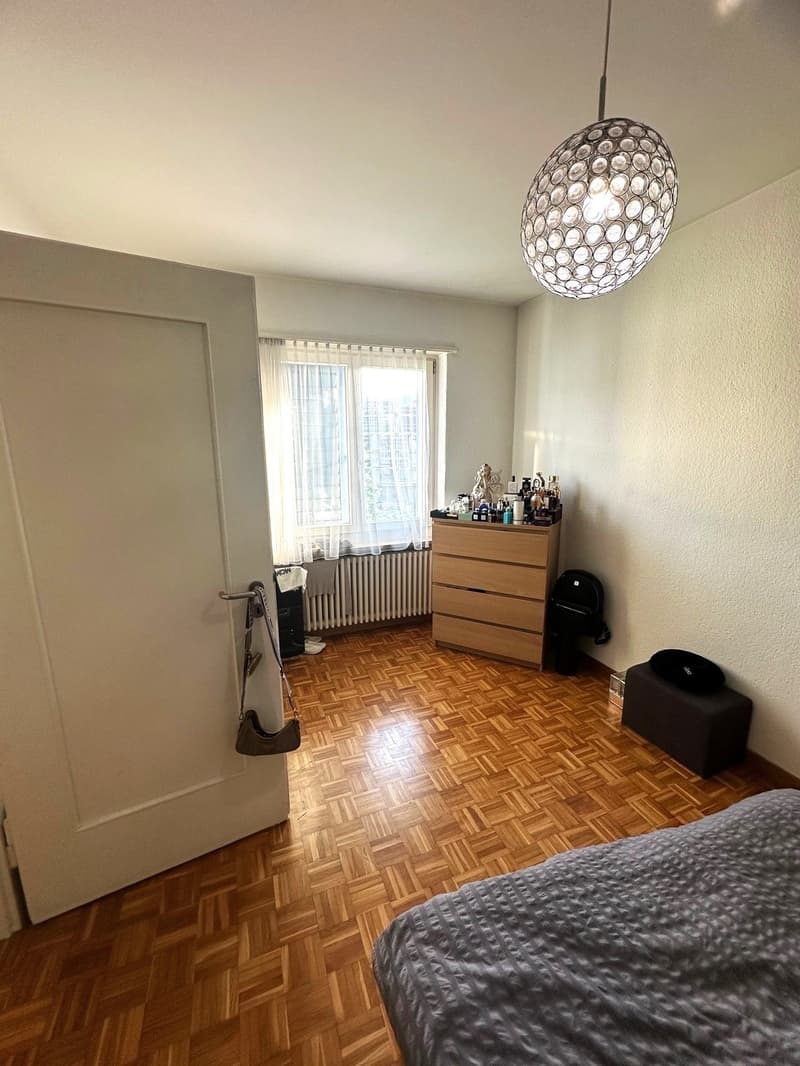 Charmante 3-Zimmer-Wohnung mit Balkon an zentraler Lage in Dietikon (9)