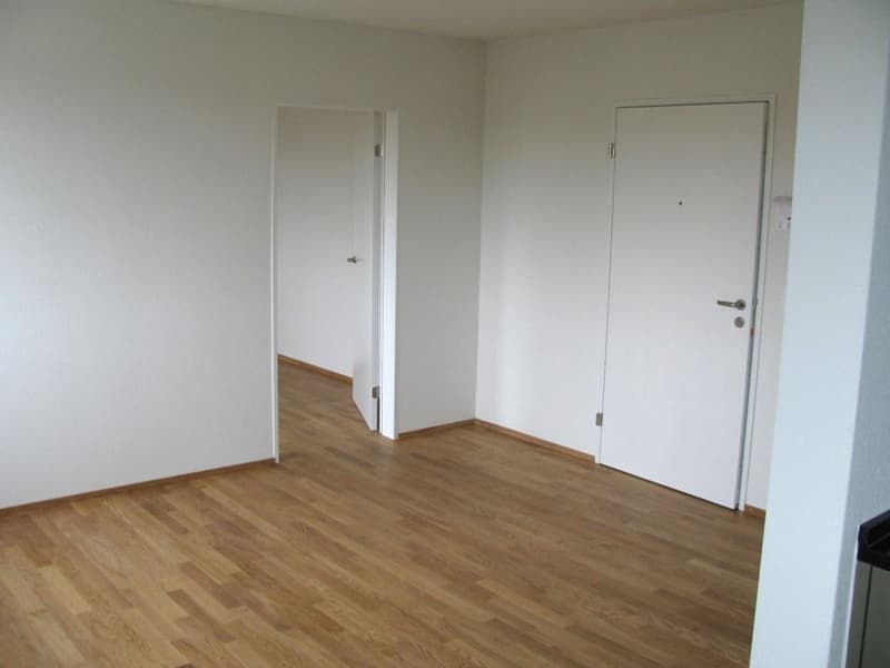 Moderne 2.5-Zimmer-Wohnunge an Toplage in Glattbrugg (5)