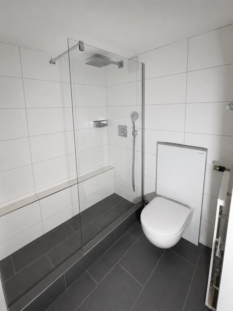 Frisch sanierte 1-Zimmerwohnung mit grosser Terrasse und Blick auf die Limmat (6)