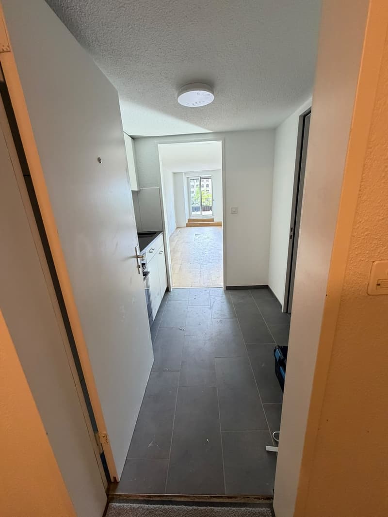Frisch sanierte 1-Zimmerwohnung mit grosser Terrasse und Blick auf die Limmat (3)