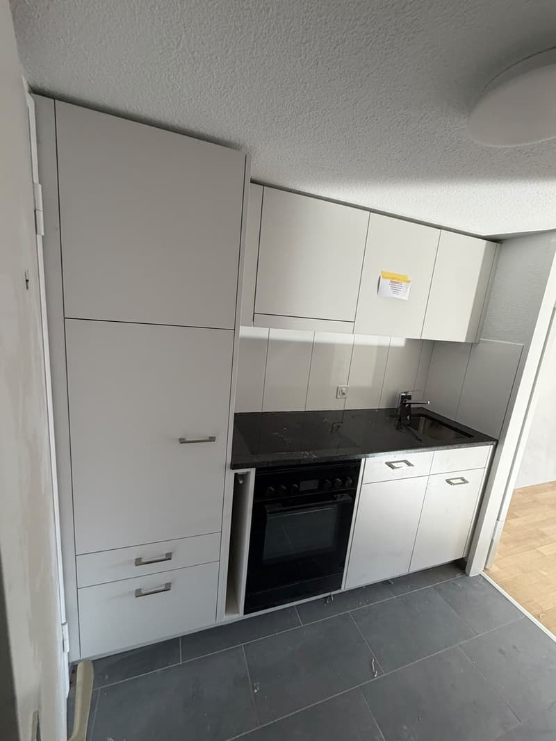 Frisch sanierte 1-Zimmerwohnung mit grosser Terrasse und Blick auf die Limmat (5)
