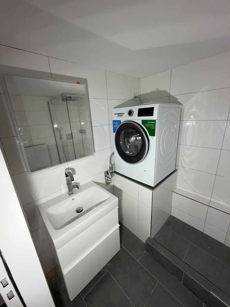 Frisch sanierte 1-Zimmerwohnung mit grosser Terrasse und Blick auf die Limmat (7)