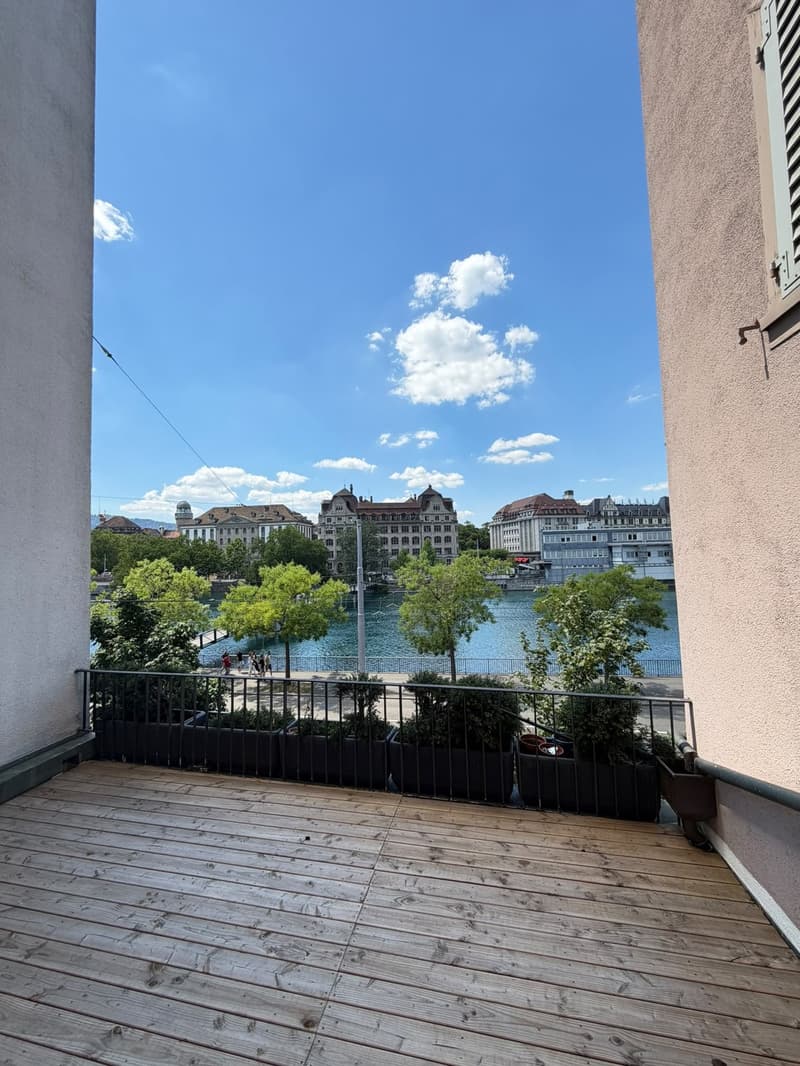 Frisch sanierte 1-Zimmerwohnung mit grosser Terrasse und Blick auf die Limmat (2)
