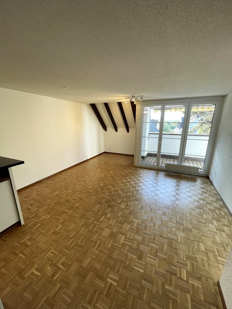 Helle 2-Zimmer-Wohnung Volketswil (4)