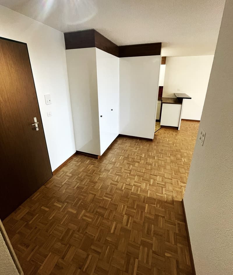 Helle 2-Zimmer-Wohnung Volketswil (5)