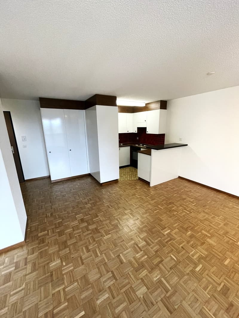 Helle 2-Zimmer-Wohnung Volketswil (3)