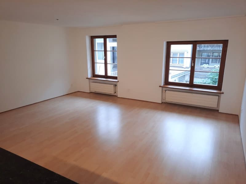 Charmante 1-Zimmer-Wohnung in der Schaffhauser Altstadt (3)