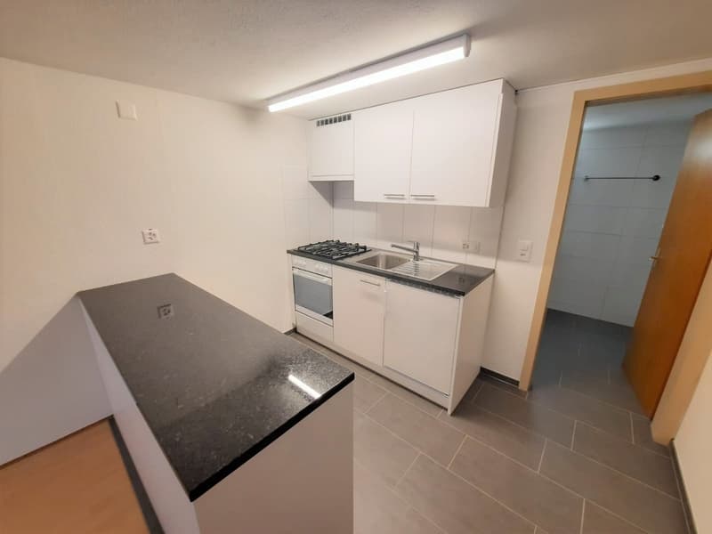 Charmante 1-Zimmer-Wohnung in der Schaffhauser Altstadt (2)
