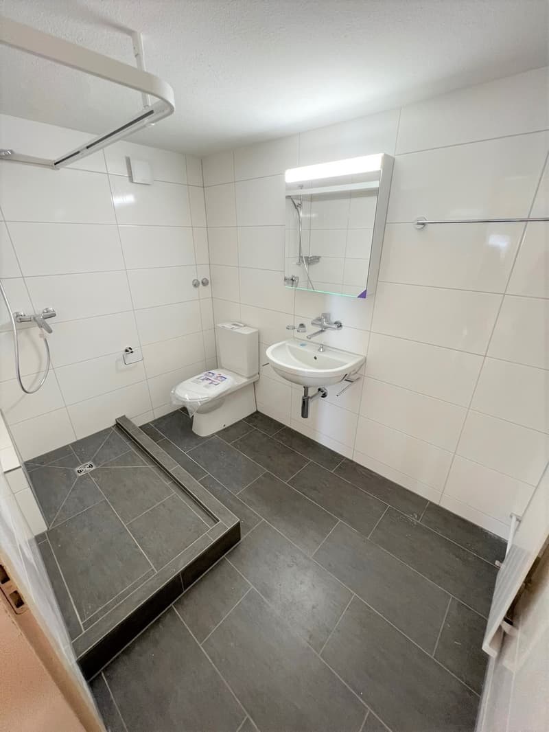 Charmante 1-Zimmer-Wohnung in der Schaffhauser Altstadt (4)