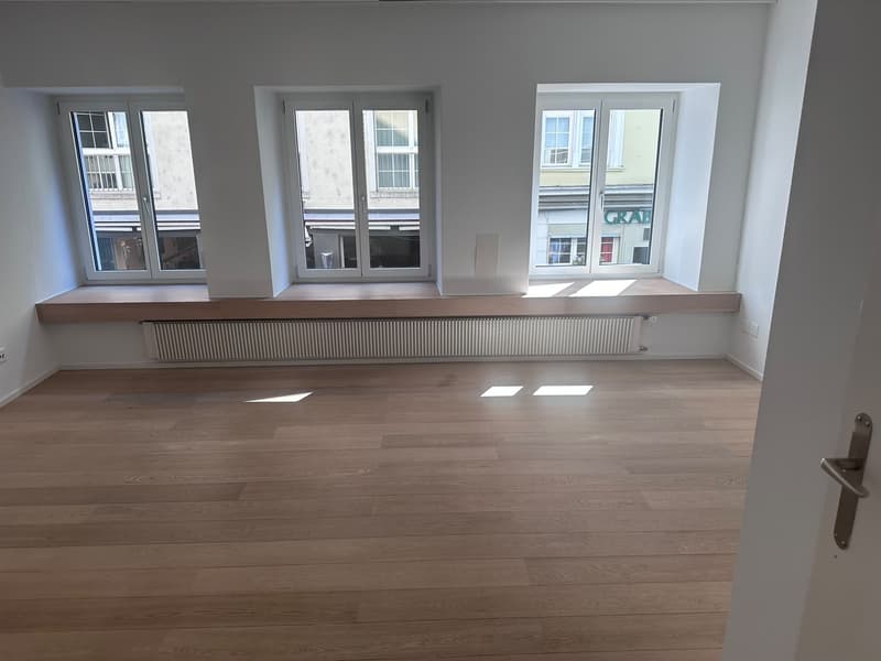 Charmantes Studio in bester Lage der Zürcher Altstadt ohne Küche (4)