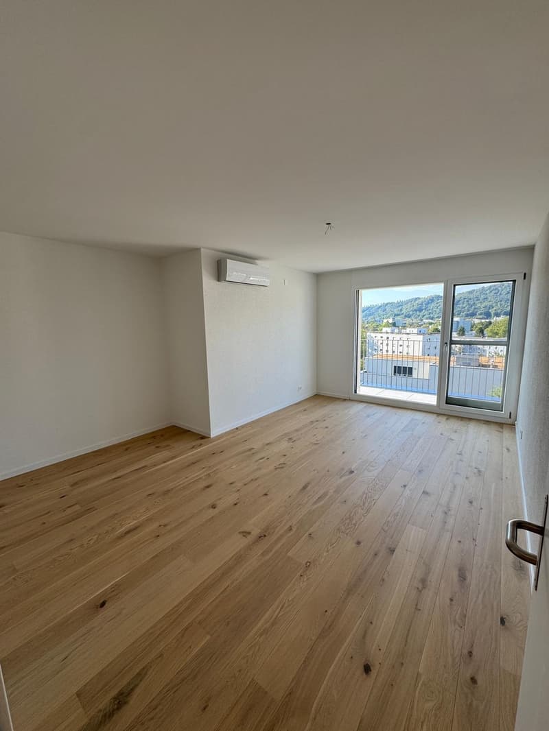 Exklusive Attikawohnung Wohnen mit Weitblick (5)