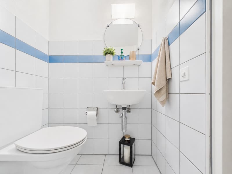 Ruhig gelegenes Haus nahe der Töss mit grosszügigem Platzangebot. (5)