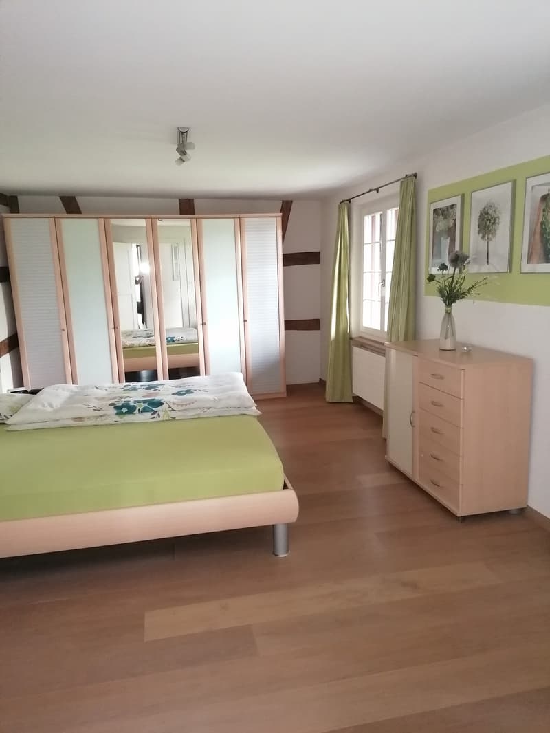 Charmantes 4.5-Zimmer-Einfamilienhaus mit Garten, Teich und idyllischem Sitzplatz (9)
