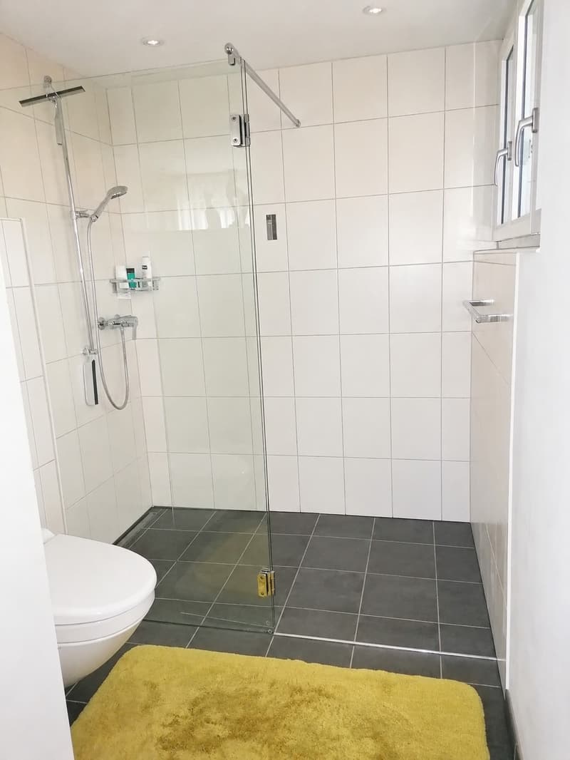 Charmantes 4.5-Zimmer-Einfamilienhaus mit Garten, Teich und idyllischem Sitzplatz (8)