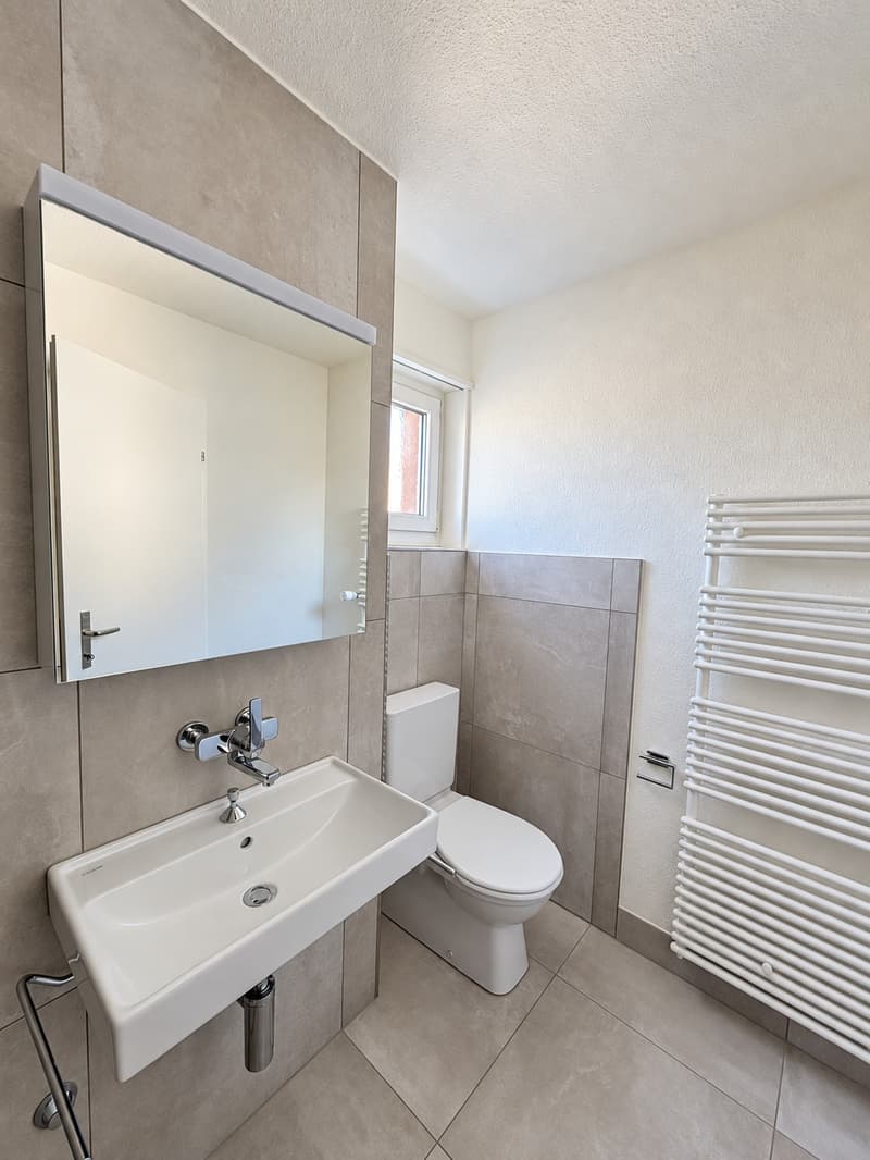 Ihr neues Zuhause 3.5 Zimmer, frisch saniert zum Einzug (10)