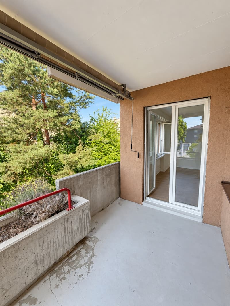Ihr neues Zuhause 3.5 Zimmer, frisch saniert zum Einzug (13)